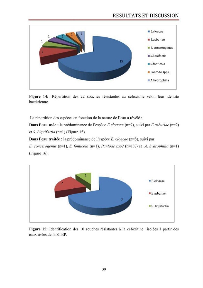 Caractérisation des mécanismes de résistance aux béta-lactamines chez des bactéries à Gram négatif isolées des eaux usées et aux traitées de la STEP de Boumerdes