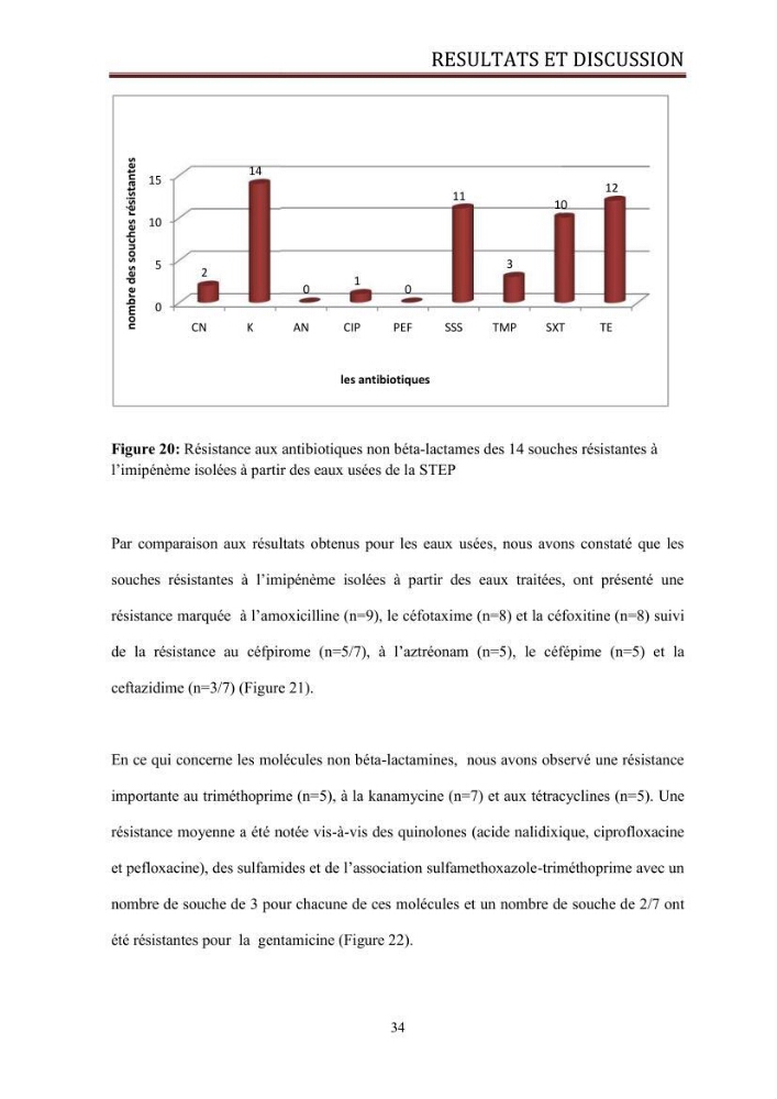 Caractérisation des mécanismes de résistance aux béta-lactamines chez des bactéries à Gram négatif isolées des eaux usées et aux traitées de la STEP de Boumerdes
