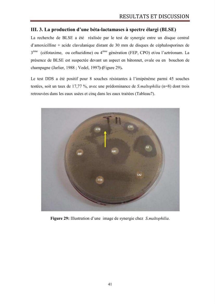 Caractérisation des mécanismes de résistance aux béta-lactamines chez des bactéries à Gram négatif isolées des eaux usées et aux traitées de la STEP de Boumerdes