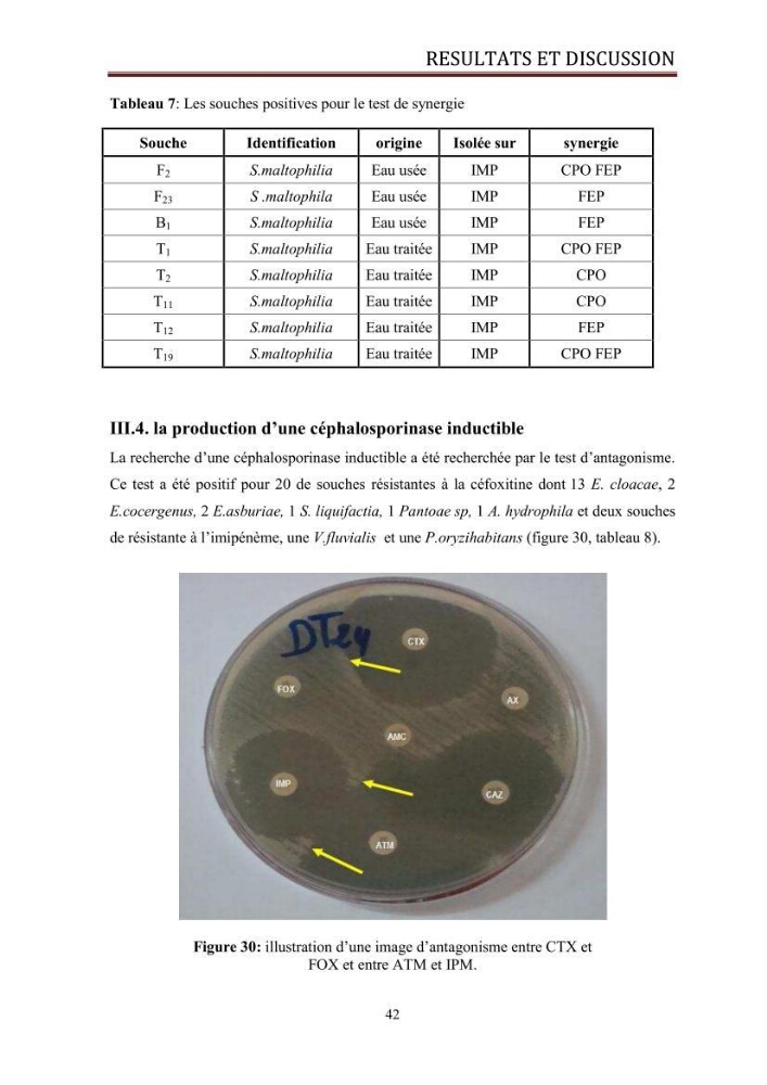 Caractérisation des mécanismes de résistance aux béta-lactamines chez des bactéries à Gram négatif isolées des eaux usées et aux traitées de la STEP de Boumerdes