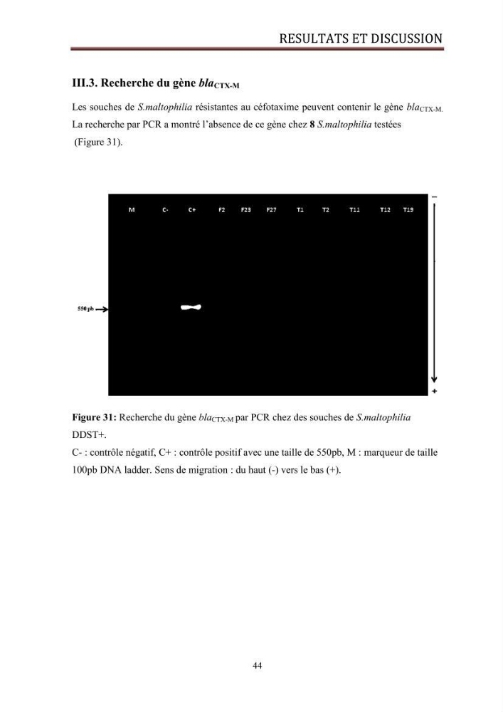 Caractérisation des mécanismes de résistance aux béta-lactamines chez des bactéries à Gram négatif isolées des eaux usées et aux traitées de la STEP de Boumerdes