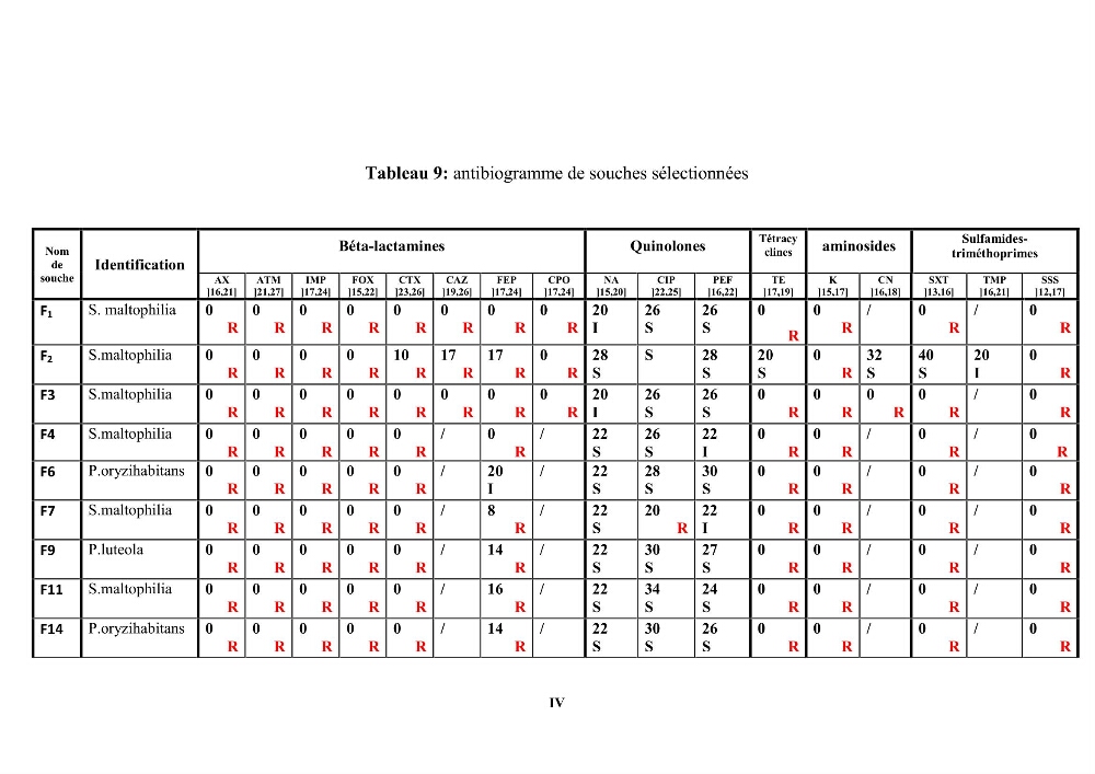 Caractérisation des mécanismes de résistance aux béta-lactamines chez des bactéries à Gram négatif isolées des eaux usées et aux traitées de la STEP de Boumerdes
