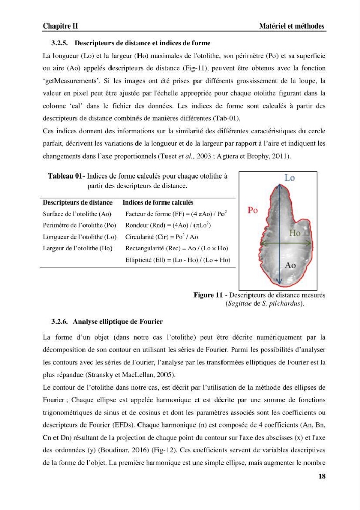 Discrimination des populations de trois espèces de petits pélagiques des côtes algériennes : Engraulis encrasicolus (Linnaeus, 1758), Sardina pilchardus (Walbaum, 1792) et Boops boops (Linnaeus, 1758) par analyse de forme des otolithes.