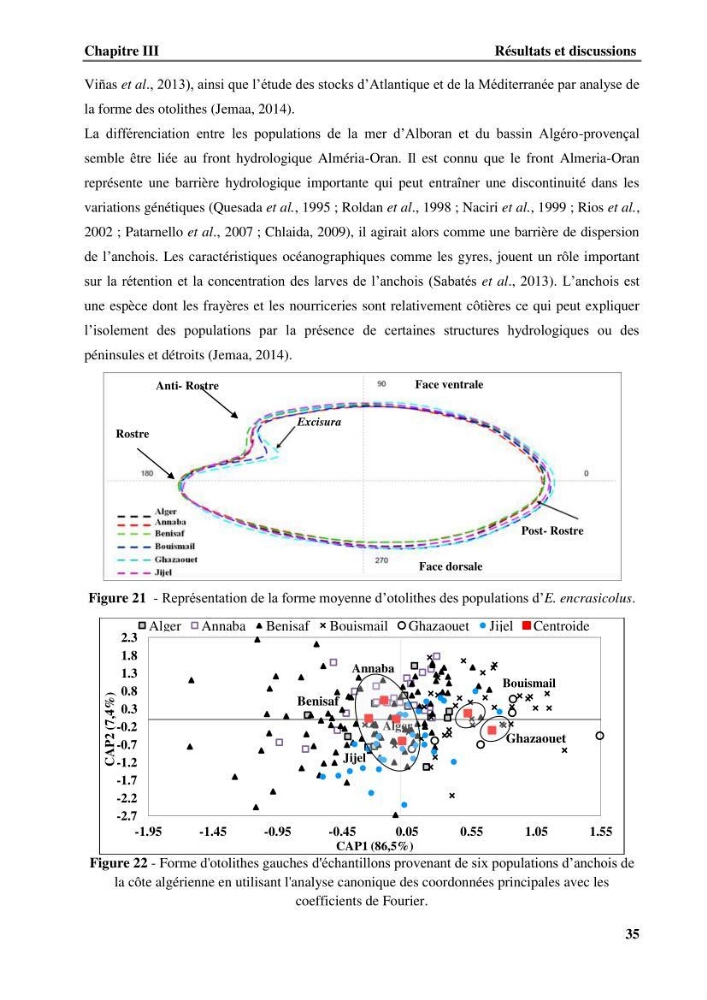 Discrimination des populations de trois espèces de petits pélagiques des côtes algériennes : Engraulis encrasicolus (Linnaeus, 1758), Sardina pilchardus (Walbaum, 1792) et Boops boops (Linnaeus, 1758) par analyse de forme des otolithes.