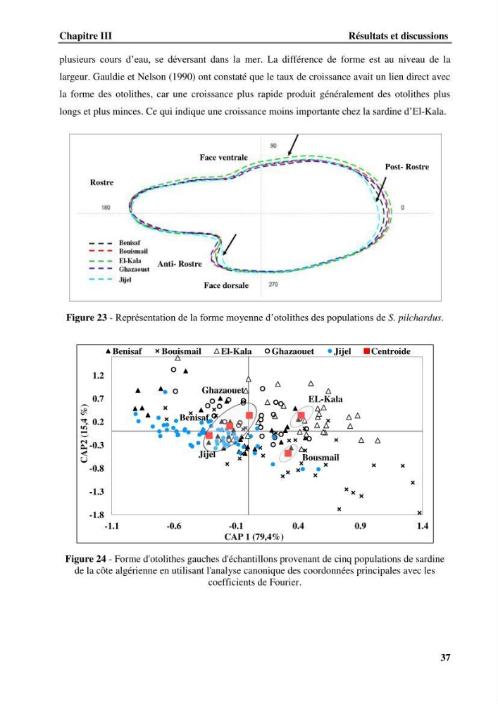 Discrimination des populations de trois espèces de petits pélagiques des côtes algériennes : Engraulis encrasicolus (Linnaeus, 1758), Sardina pilchardus (Walbaum, 1792) et Boops boops (Linnaeus, 1758) par analyse de forme des otolithes.
