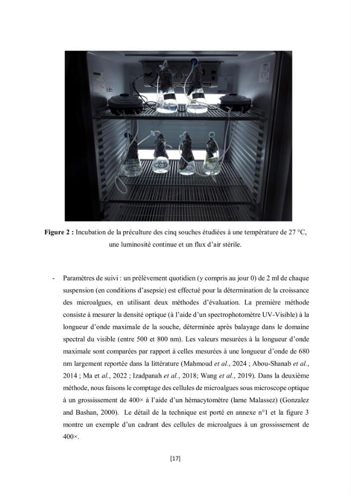 Étude l\'éfficacité épuratoire de consortia microalgues - bactéries dans le traitement des eaux usées aquacoles