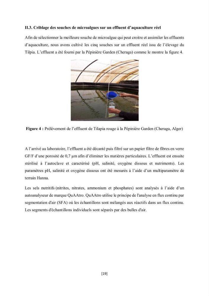 Étude l\'éfficacité épuratoire de consortia microalgues - bactéries dans le traitement des eaux usées aquacoles
