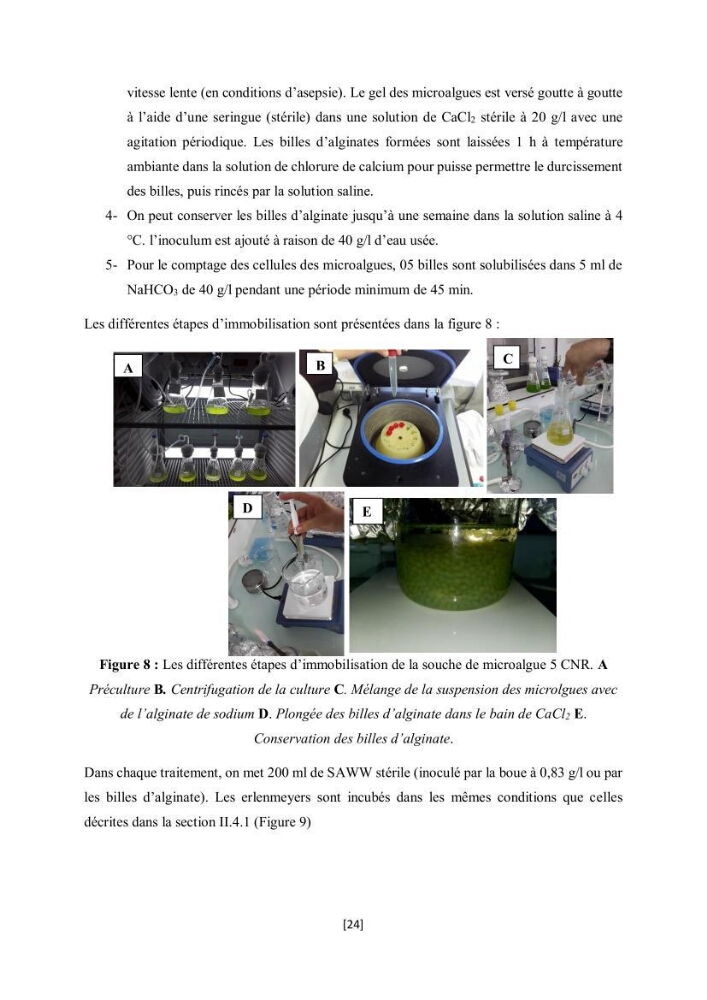 Étude l\'éfficacité épuratoire de consortia microalgues - bactéries dans le traitement des eaux usées aquacoles