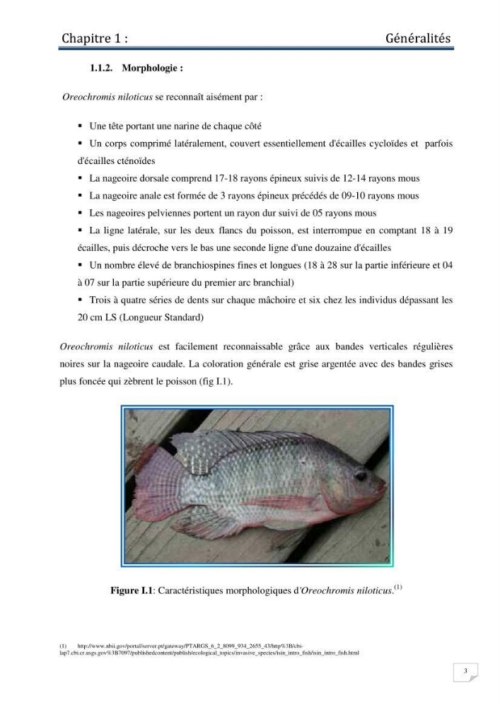 Production d\'alevins monosexe d\'oreochromis niloticus (Linnaeus, 1758) au niveau de la ferme piscicole ezzahra- wilaya de Ghardaia