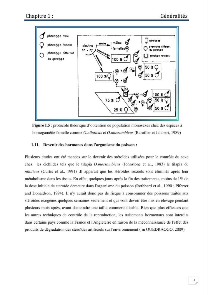Production d\'alevins monosexe d\'oreochromis niloticus (Linnaeus, 1758) au niveau de la ferme piscicole ezzahra- wilaya de Ghardaia