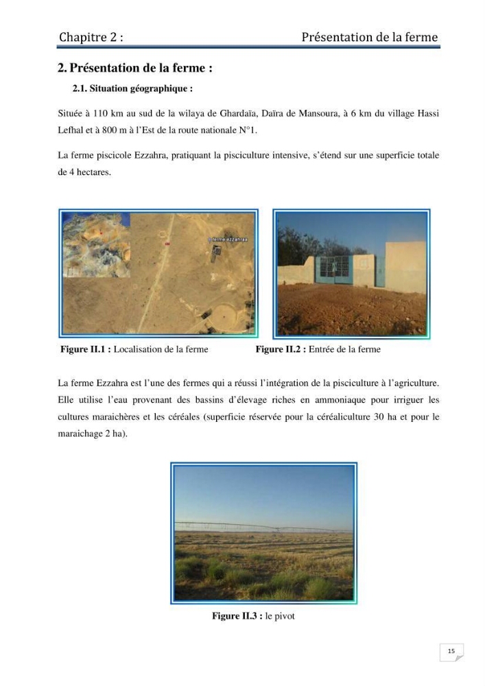 Production d\'alevins monosexe d\'oreochromis niloticus (Linnaeus, 1758) au niveau de la ferme piscicole ezzahra- wilaya de Ghardaia