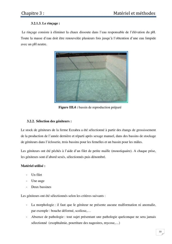 Production d\'alevins monosexe d\'oreochromis niloticus (Linnaeus, 1758) au niveau de la ferme piscicole ezzahra- wilaya de Ghardaia