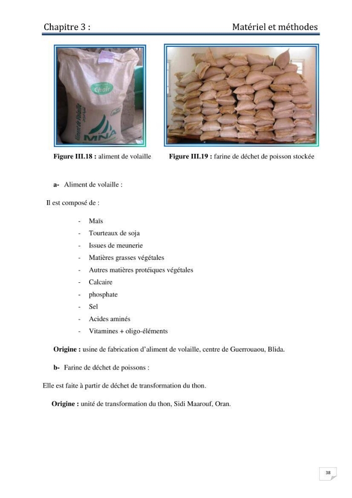Production d\'alevins monosexe d\'oreochromis niloticus (Linnaeus, 1758) au niveau de la ferme piscicole ezzahra- wilaya de Ghardaia