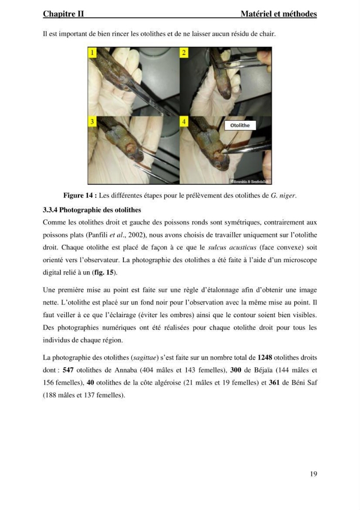 Contribution à l’étude du gobie noir Gobius niger L., 1785 (Actinopterygii, Gobiiformes) de la côte algérienne : dynamique des populations.
