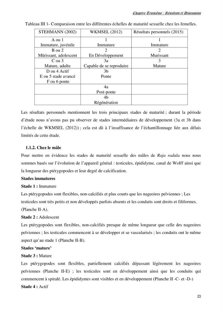 Contribution à l’étude de la biologie, de la croissance et de l’exploitation de Raja radula (Elasmobranches, Rajidae) dans la région Est du bassin algérien