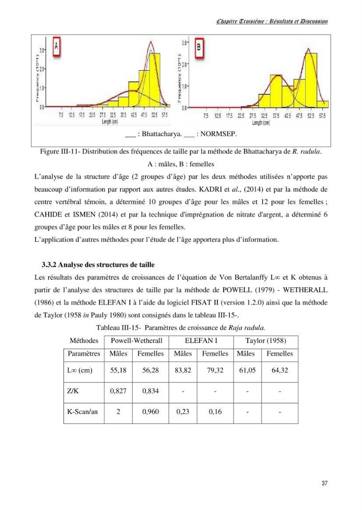 Contribution à l’étude de la biologie, de la croissance et de l’exploitation de Raja radula (Elasmobranches, Rajidae) dans la région Est du bassin algérien