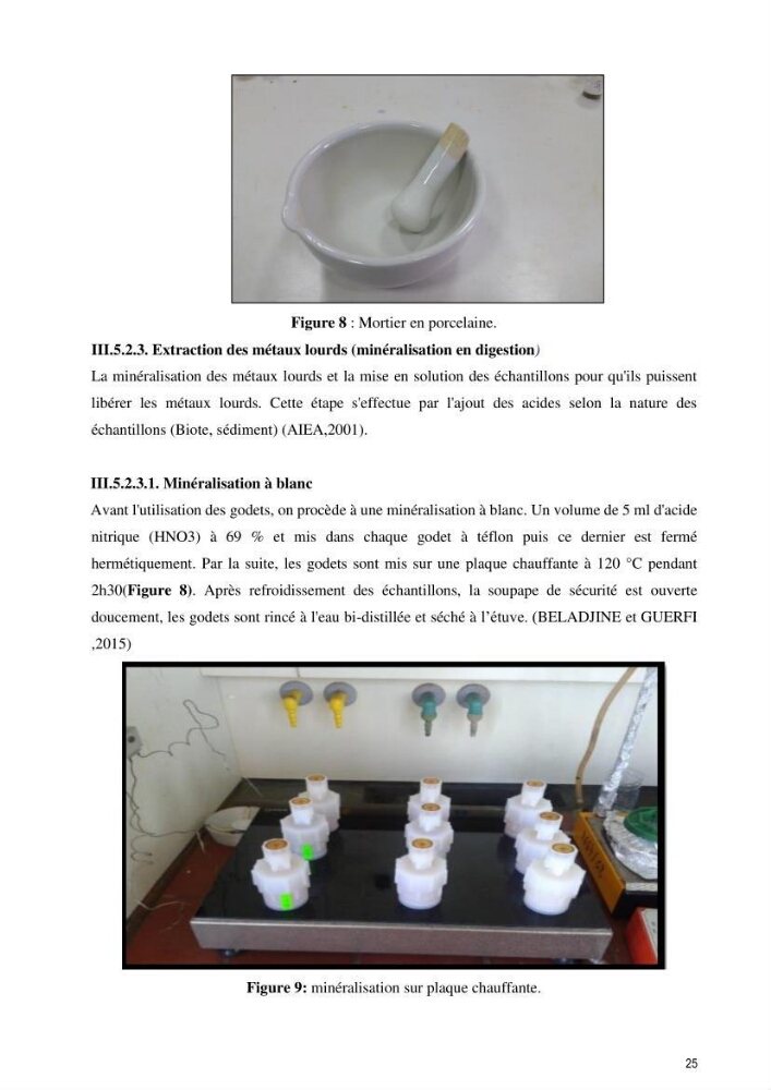 Monitoring de la pollution inorganique par les métaux dans le golf de Bejaia