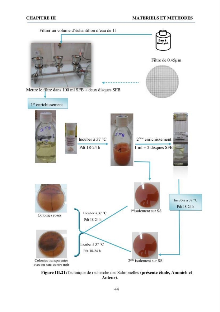 Qualité physico-chimique et bactériologique des eaux littorales