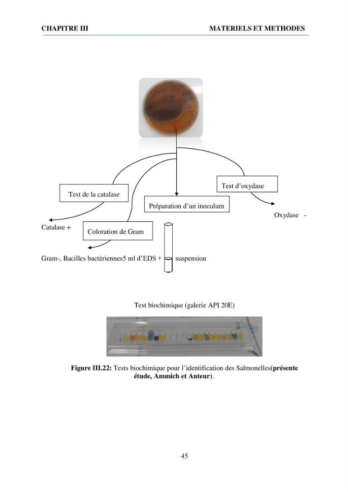 Qualité physico-chimique et bactériologique des eaux littorales