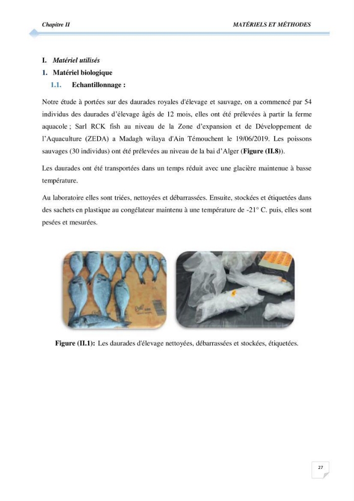 Contribution à l\'étude de la déférienciation morphométrique et génétique des daurades ( Sparus aurata) (linné 1758) sauvages et d\'élevage: