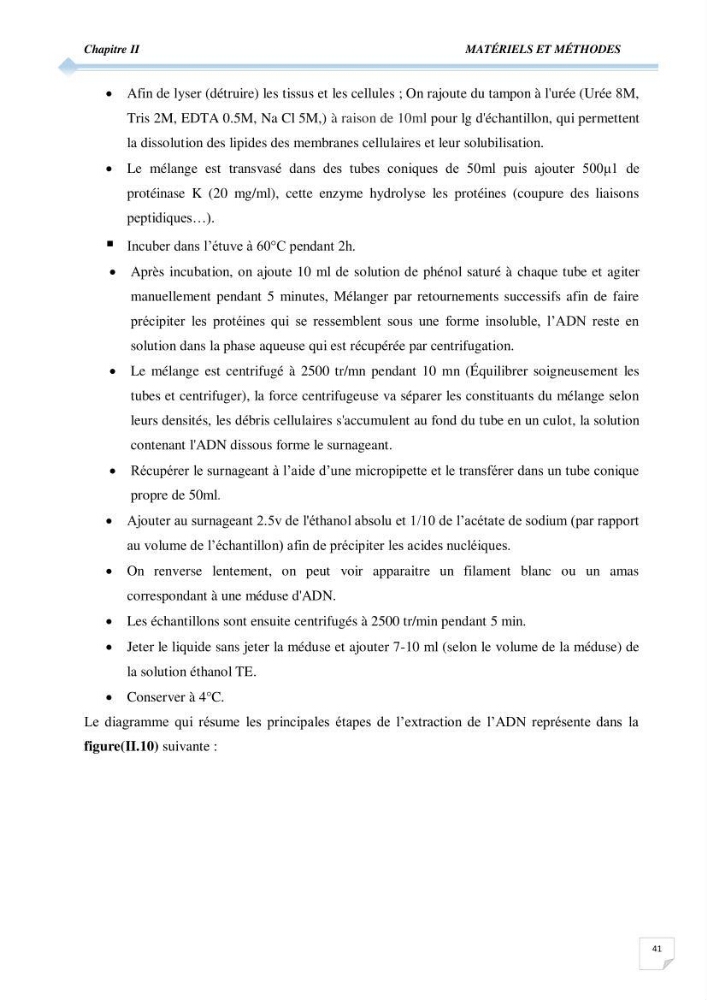 Contribution à l\'étude de la déférienciation morphométrique et génétique des daurades ( Sparus aurata) (linné 1758) sauvages et d\'élevage: