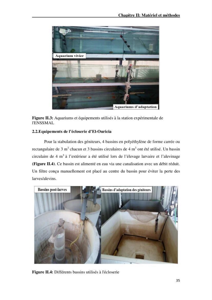 Maîtrise et suivi de la reproduction artificielle de quelques espèces de la famille des cyprinidés.
