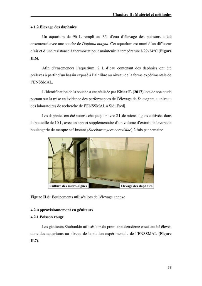 Maîtrise et suivi de la reproduction artificielle de quelques espèces de la famille des cyprinidés.