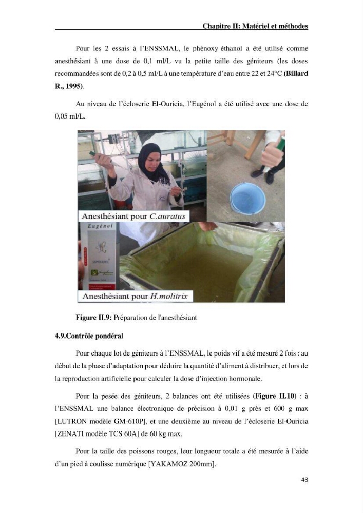 Maîtrise et suivi de la reproduction artificielle de quelques espèces de la famille des cyprinidés.