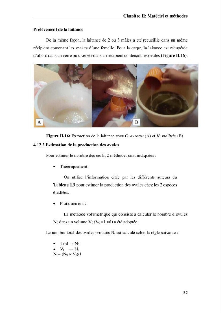 Maîtrise et suivi de la reproduction artificielle de quelques espèces de la famille des cyprinidés.