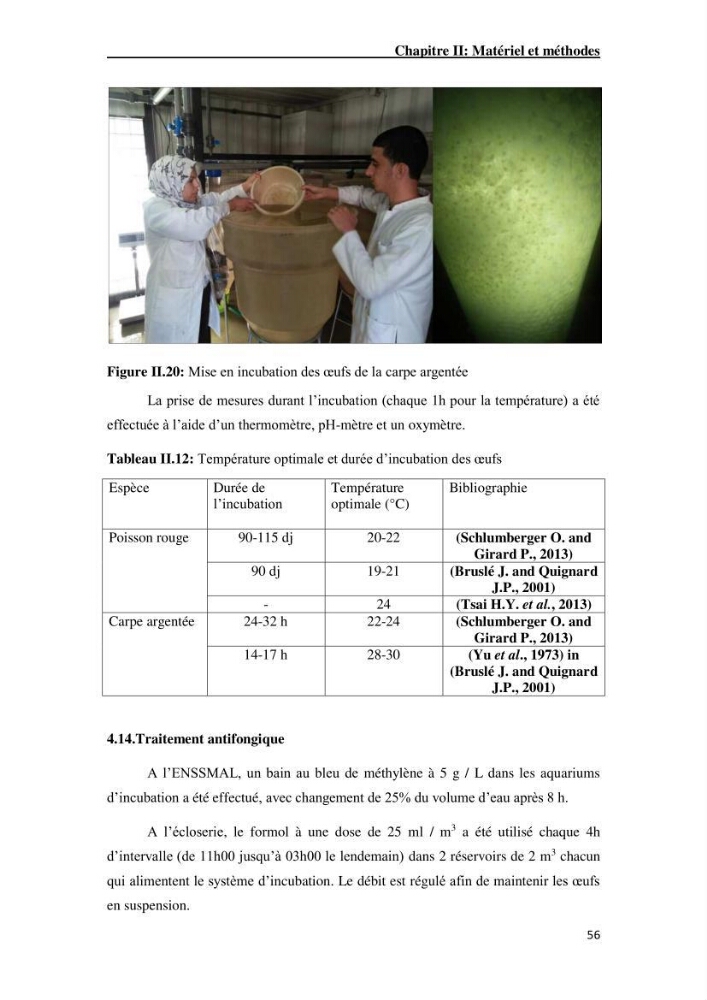 Maîtrise et suivi de la reproduction artificielle de quelques espèces de la famille des cyprinidés.