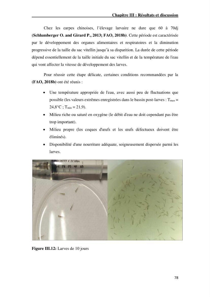 Maîtrise et suivi de la reproduction artificielle de quelques espèces de la famille des cyprinidés.