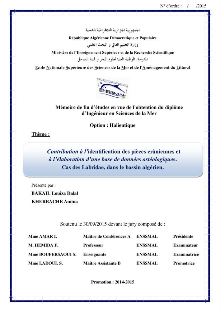 Contribution à l\'identification des pièces crâniènes et à l\'élaboration d\'une base de données ostéologiques.: cas des labridae, dans le bassin algerien