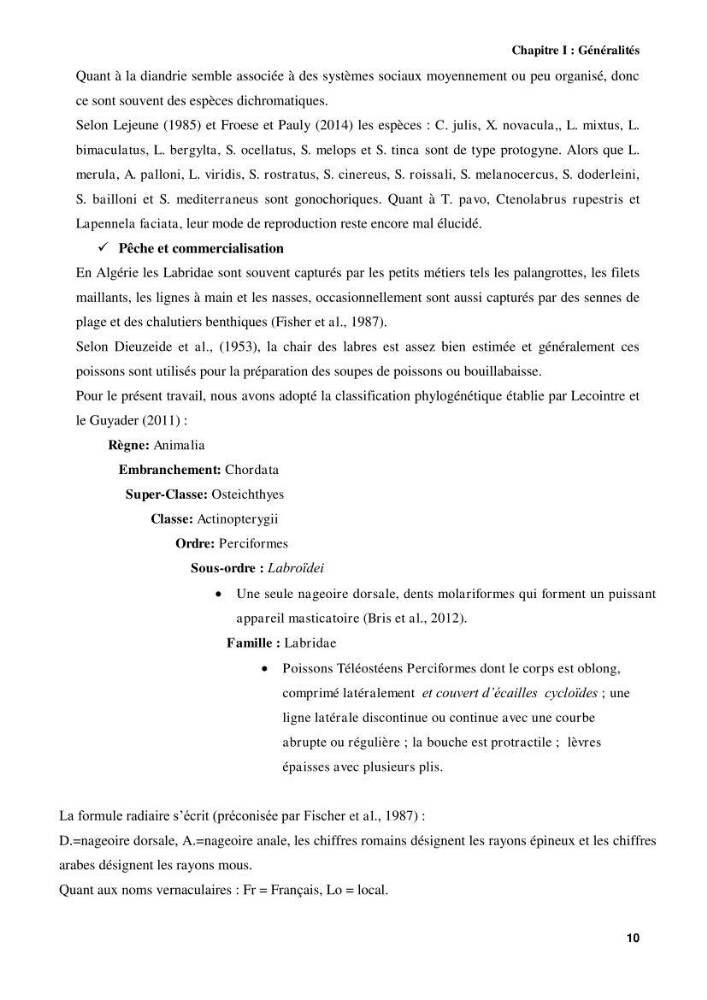 Contribution à l\'identification des pièces crâniènes et à l\'élaboration d\'une base de données ostéologiques.: cas des labridae, dans le bassin algerien