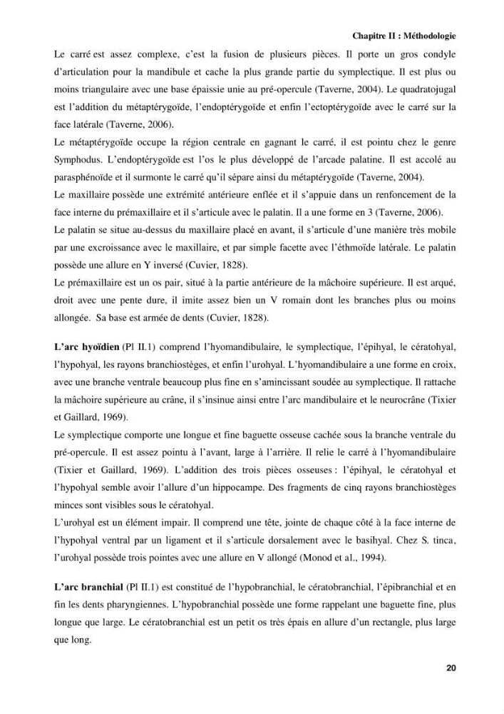 Contribution à l\'identification des pièces crâniènes et à l\'élaboration d\'une base de données ostéologiques.: cas des labridae, dans le bassin algerien