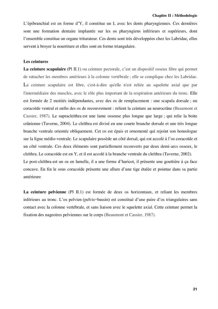 Contribution à l\'identification des pièces crâniènes et à l\'élaboration d\'une base de données ostéologiques.: cas des labridae, dans le bassin algerien