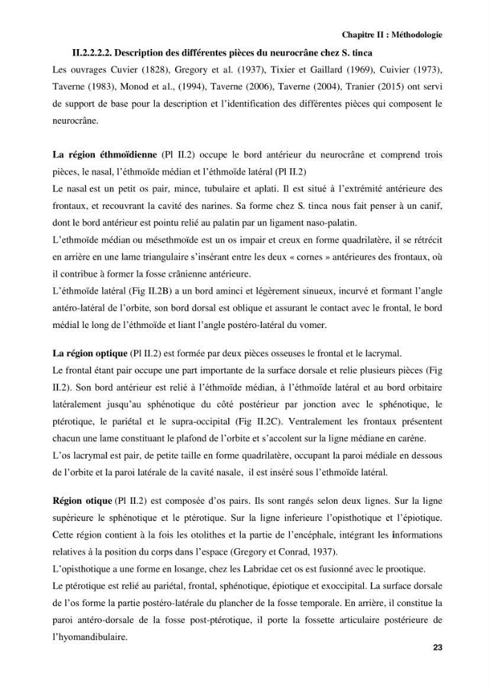 Contribution à l\'identification des pièces crâniènes et à l\'élaboration d\'une base de données ostéologiques.: cas des labridae, dans le bassin algerien