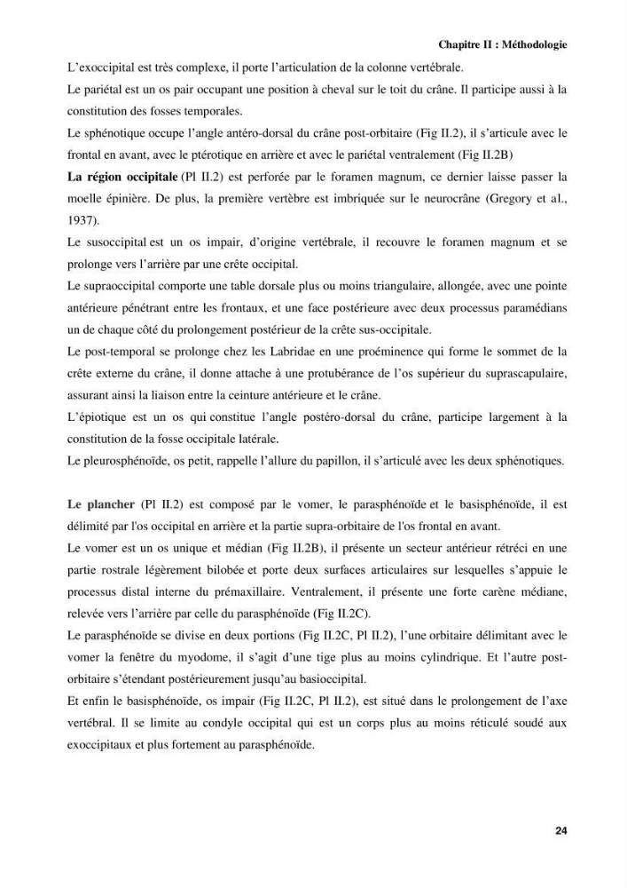 Contribution à l\'identification des pièces crâniènes et à l\'élaboration d\'une base de données ostéologiques.: cas des labridae, dans le bassin algerien