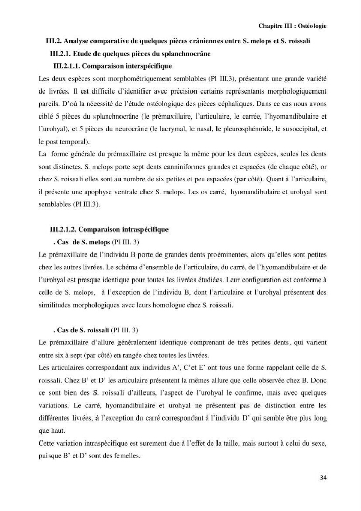 Contribution à l\'identification des pièces crâniènes et à l\'élaboration d\'une base de données ostéologiques.: cas des labridae, dans le bassin algerien