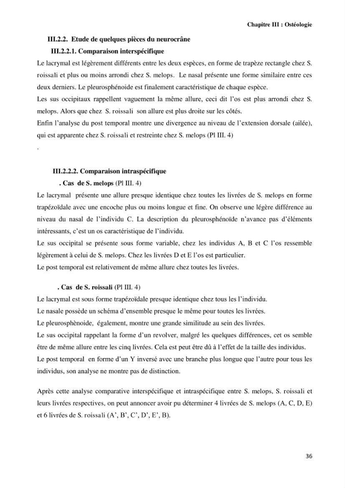 Contribution à l\'identification des pièces crâniènes et à l\'élaboration d\'une base de données ostéologiques.: cas des labridae, dans le bassin algerien