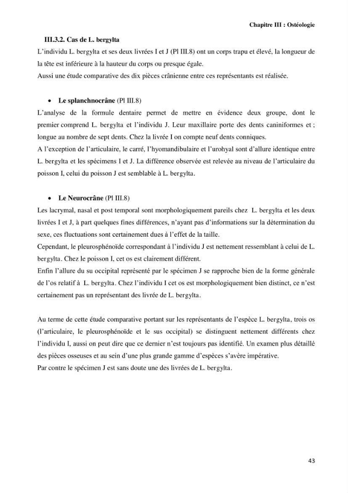 Contribution à l\'identification des pièces crâniènes et à l\'élaboration d\'une base de données ostéologiques.: cas des labridae, dans le bassin algerien