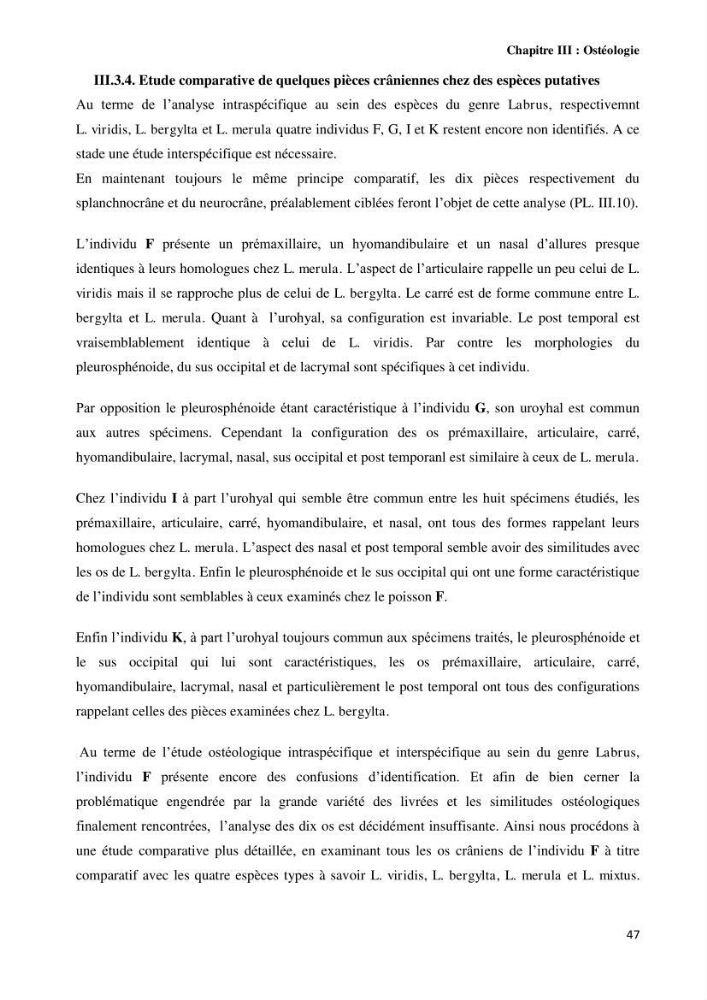 Contribution à l\'identification des pièces crâniènes et à l\'élaboration d\'une base de données ostéologiques.: cas des labridae, dans le bassin algerien