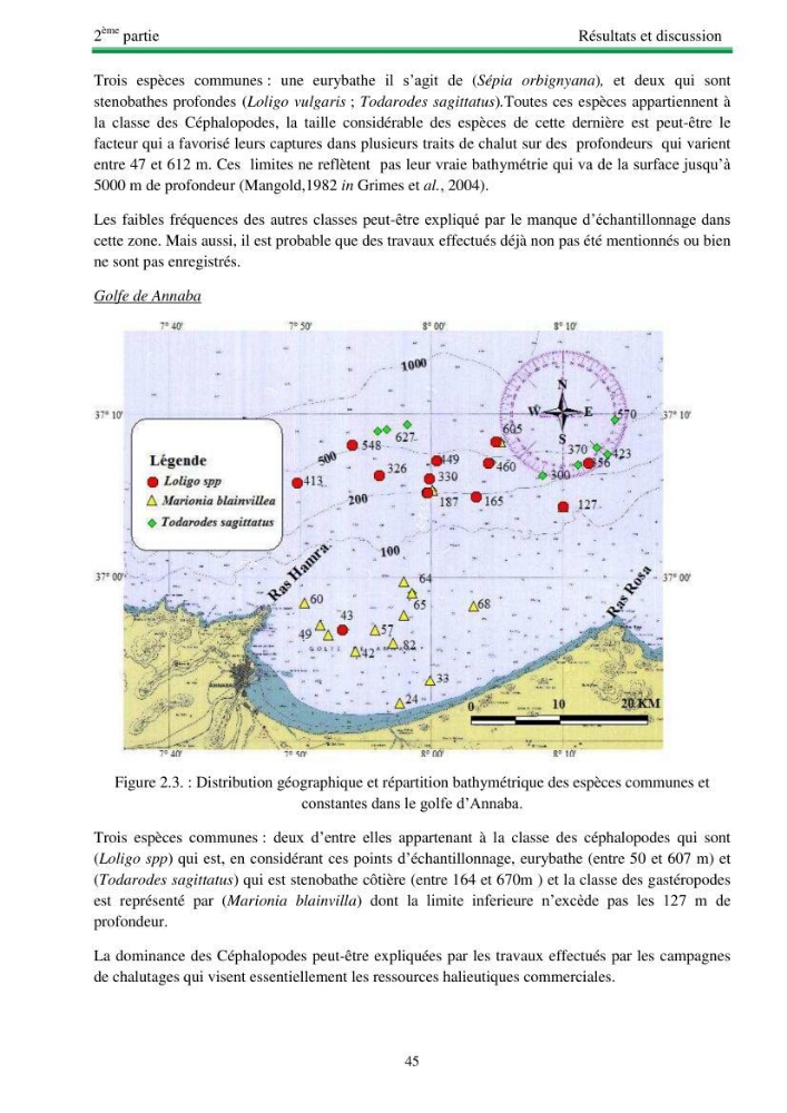 Protocole de mise en place d\'une base de données sur la biodiversité des mollusques marins de la côte algerienne