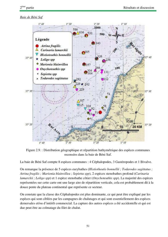 Protocole de mise en place d\'une base de données sur la biodiversité des mollusques marins de la côte algerienne