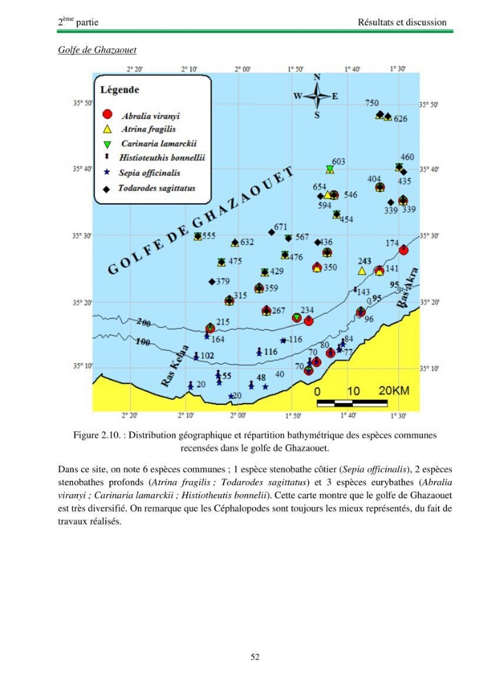 Protocole de mise en place d\'une base de données sur la biodiversité des mollusques marins de la côte algerienne