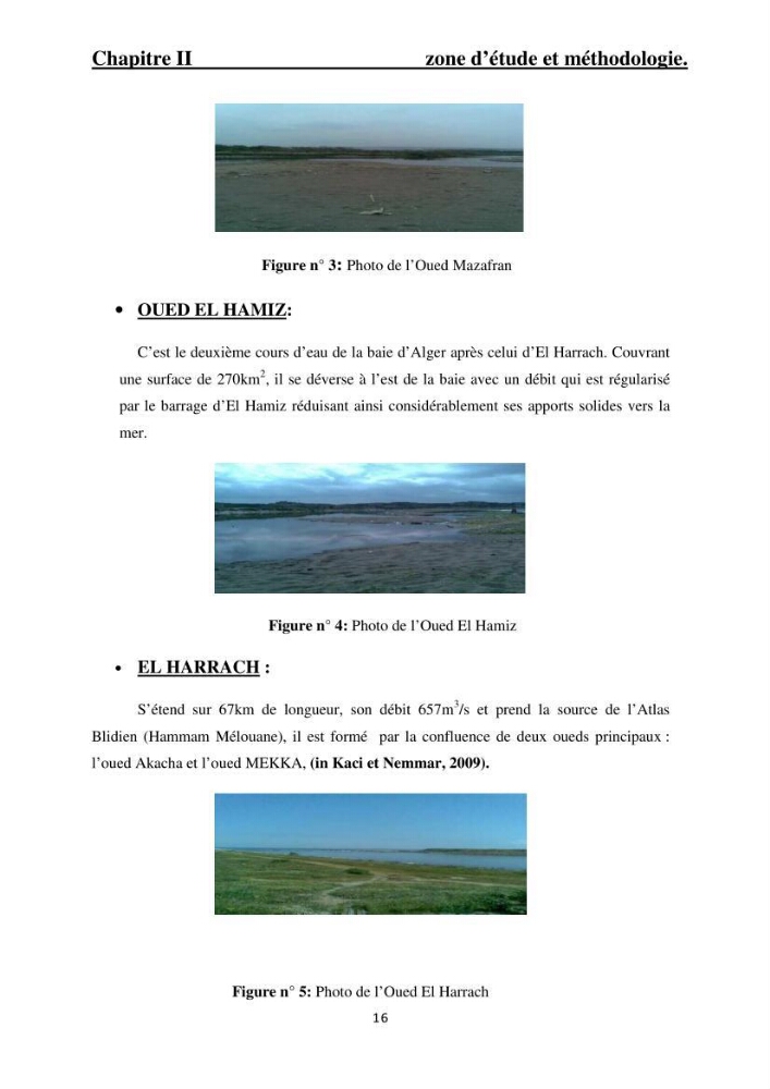 Pollution par les principaux rejets au niveau du littoral algerois