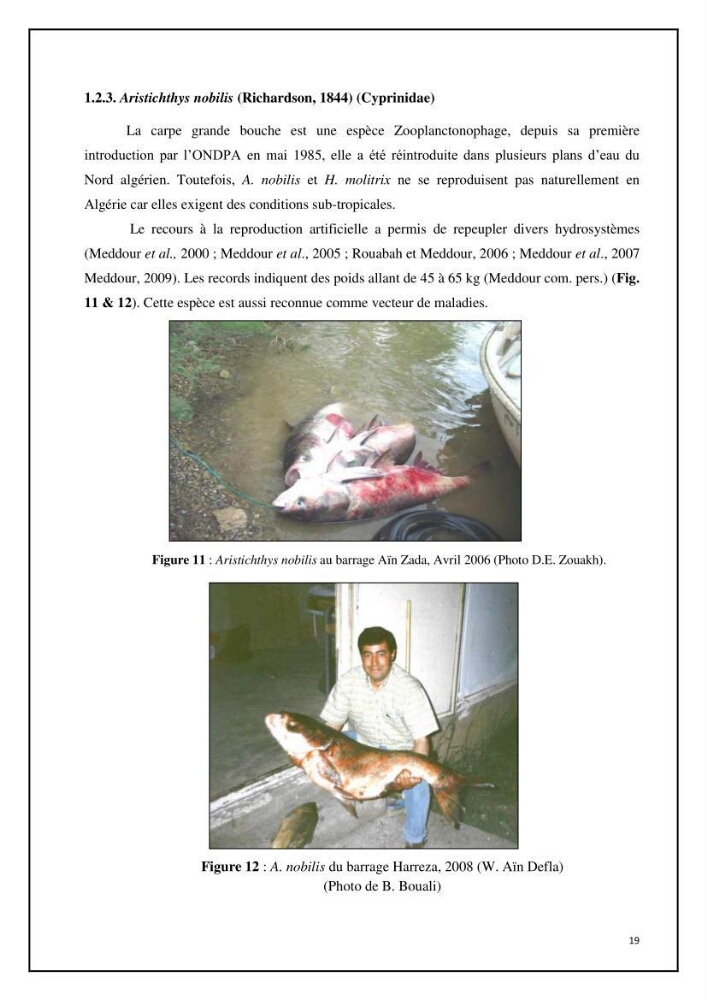 Inventaire de la parasitofaune des poissons dulcicoles d\'Algérie