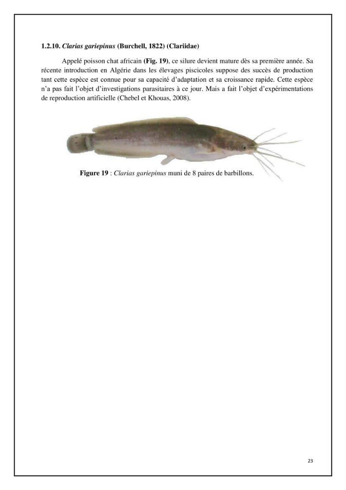 Inventaire de la parasitofaune des poissons dulcicoles d\'Algérie