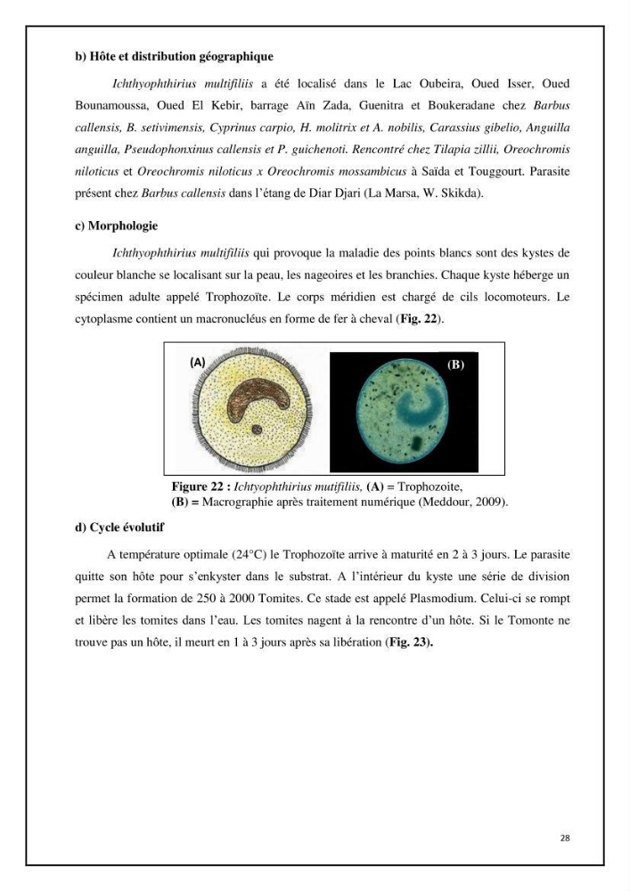 Inventaire de la parasitofaune des poissons dulcicoles d\'Algérie