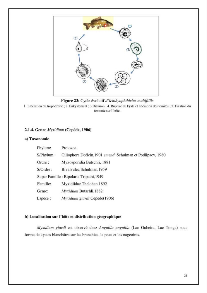 Inventaire de la parasitofaune des poissons dulcicoles d\'Algérie