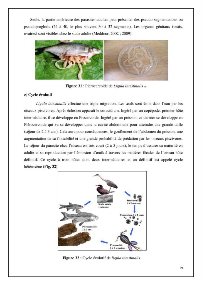 Inventaire de la parasitofaune des poissons dulcicoles d\'Algérie